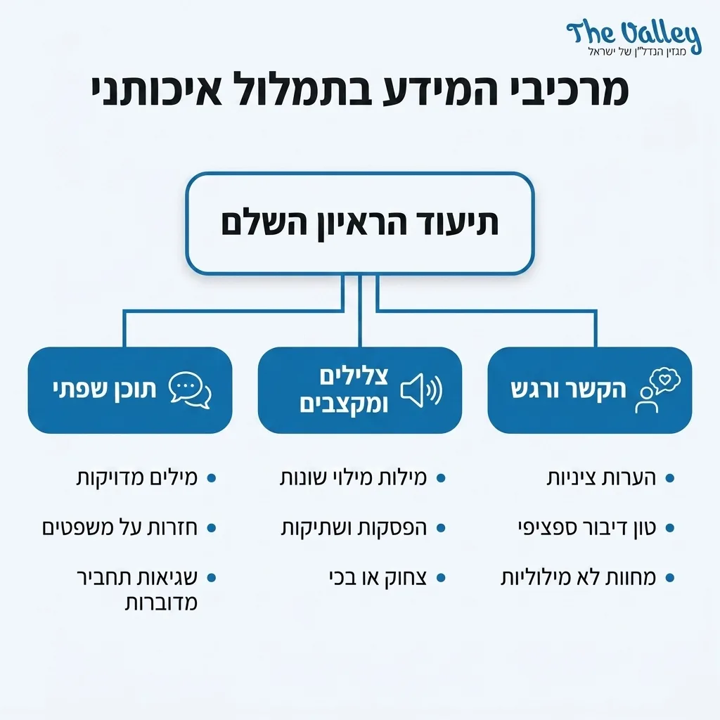 אינפוגרפיקה — מרכיבי המידע בתמלול איכותני: תיעוד הראיון השלם